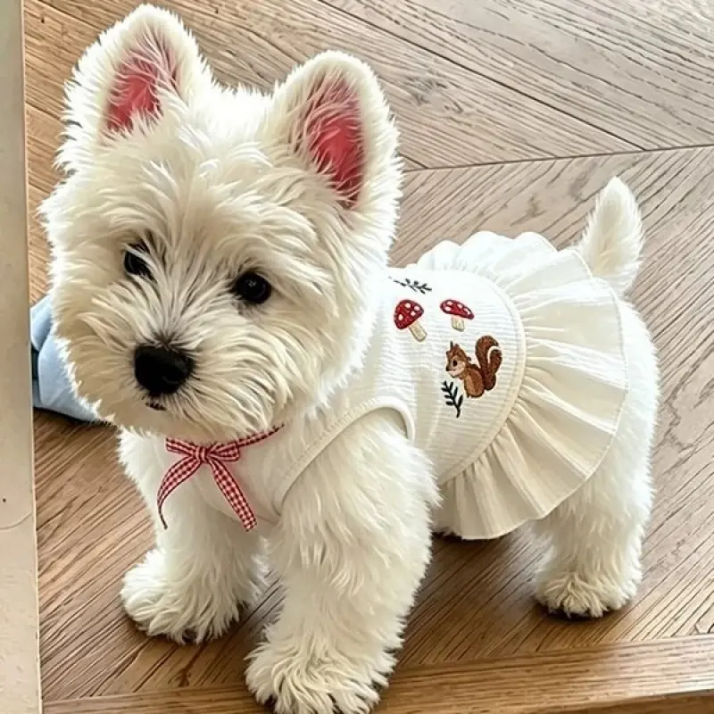 Cute Squirrel & Mushroom Embroidered Dog Dress, Lightweight Summer Pet Clothes for Small Dogs, Fresh Forest Style Skirt with Plaid Bow, Breathable Outfit for Bichon, Westie, Pomeranian, Daily & Party Wear, Puppy Clothes