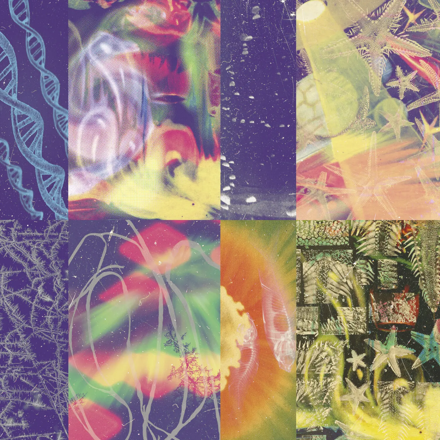 Nap Eyes - The Neon Gate  [VINYL RECORD - LP]