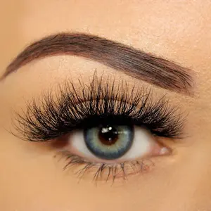 lash Lei Amor lash Lei Amor