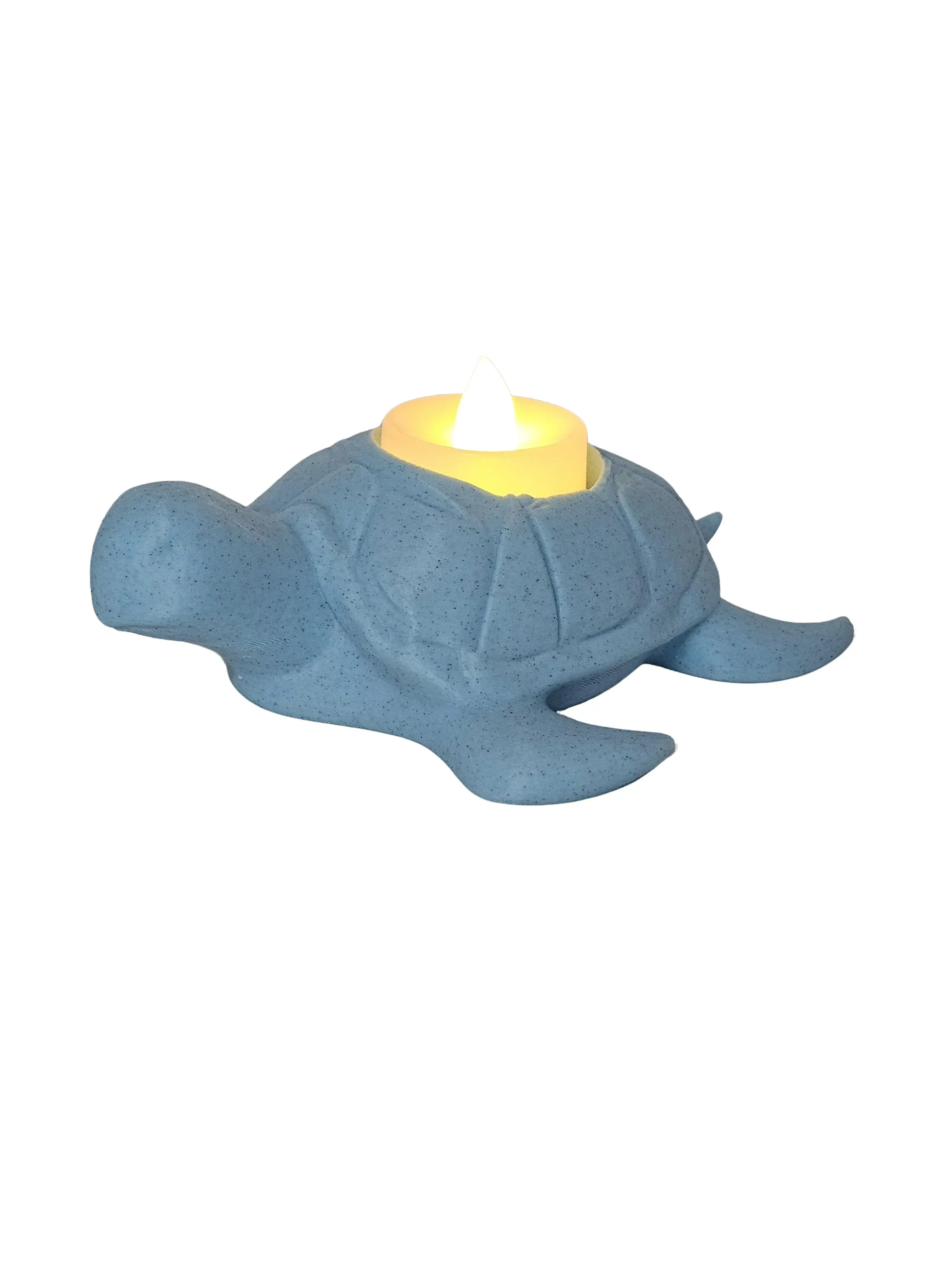 Prospect 3D - Sea Turtle Shores - oceanic home décor- wonderful sea life home decoration