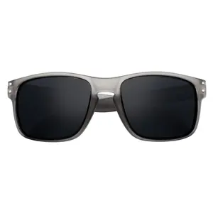 HALLBROOK - Polarized Modern Sports Horn Sunglasses Frost Gray Smoke Tint