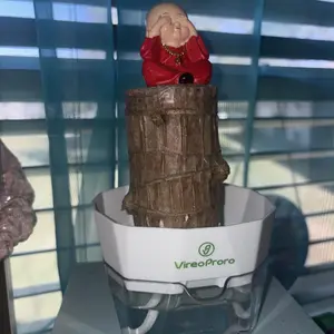 Grow Your Own Luck!  Complete Brazilian Wood Kit with Self-Watering Pot & Food  Perfect Gift Houseplant Fertilizer