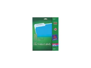 Avery 5029 Self-Adhesive Filing Labels, 1/3 Cut, 2/3 x 3-7/16, Clear, 450/Pack