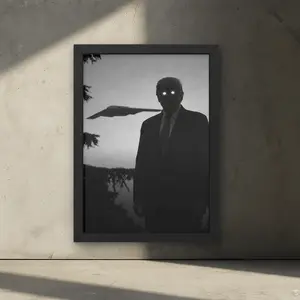 [UNFRAMED] Freedom Dorito Poster, B2 USA Wall Art Prints, Gift for Men and Women ,Nature theme decor,Trendy room decor - Optional Frame