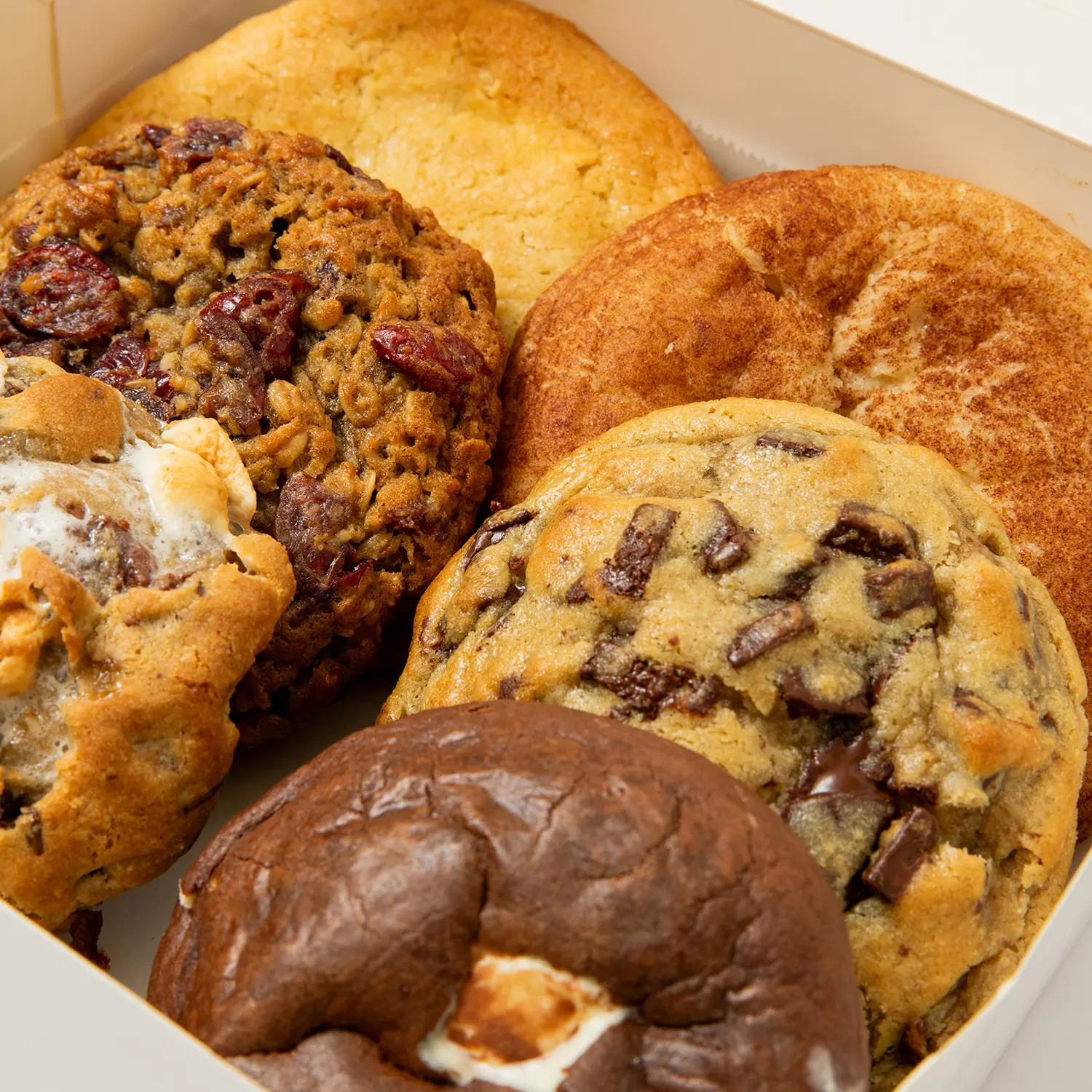 Rodeo Drive Collection Boxed Premium Assorted Flavors Chocolate Cookies Sample Box - 6 Individual Cookie Snack Packs, Freshness-Locked Gourmet Belgian Biscuit Dessert Snacks with Real Ingredients for Dessert Lovers