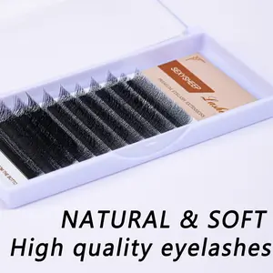 Mixed Size False Eyelashes (1 Set), Natural Look Lightweight Lash Extensions, Self Grafting C D Curl Mixed Size False Eyelashes for Women and Girls Eye Makeup Enhancement