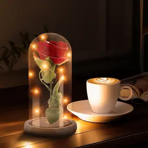 Beauty and the Beast Rose Decor Gift - Flower in Glass Dome, Light Up Rose Lamp - Ideal for Bookshelf Home Library - Beauty and the Beast Gifts, Beauty and the Beast Decor, Party Decorations