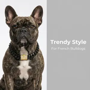 POPILY Cuban Link Pet Collar — Meticulously crafted from titanium steel, featuring a clasp exquisitely inlaid with dazzling cubic zirconia. Tailored specifically for large dogs. Available with your choice of all 26 English letters (A–Z).