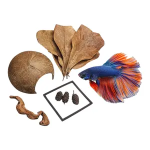 Betta Bundle w/ Coconut Cave, Driftwood, Floating Feeding Ring and Botanicals Betta Bundle w/ Coconut Cave, Driftwood, Floating Feeding Ring and Botanicals