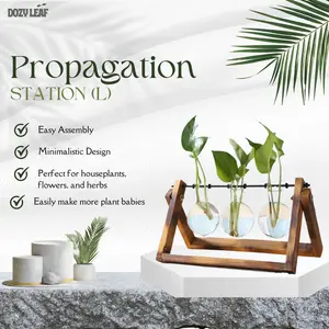 Desktop Propagation System