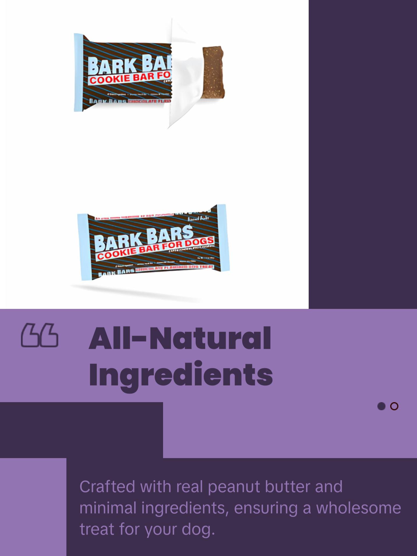 Spunky Pup Bark Bars Assorted 4 Pack