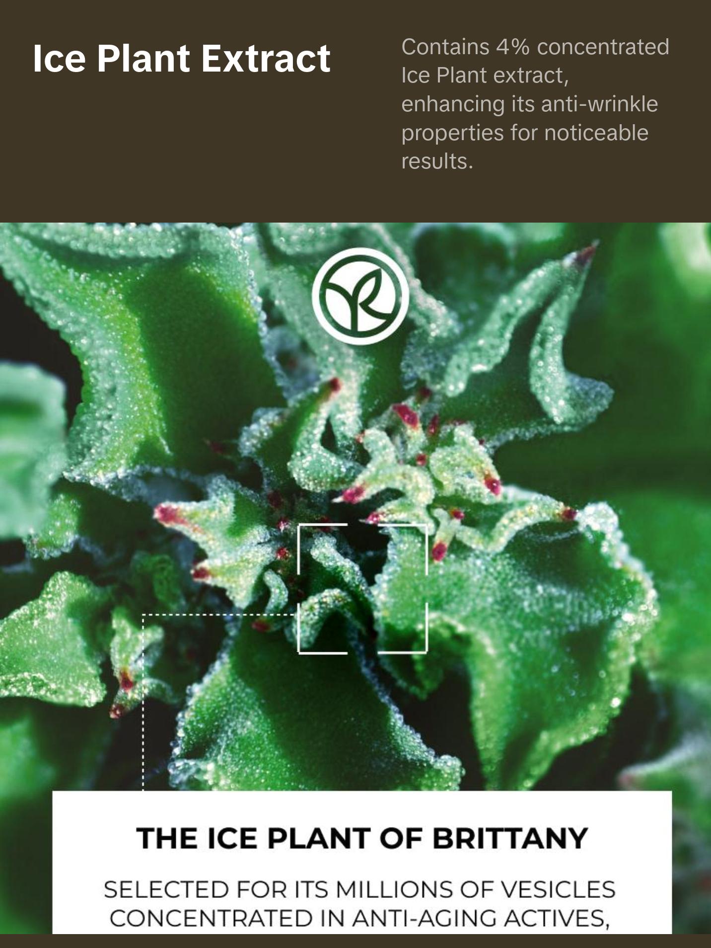 Lift Pro Collagen - Anti-Wrinkle Lifting Serum