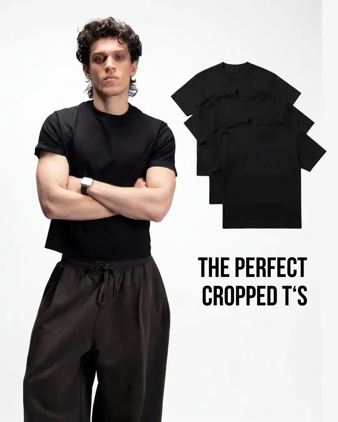 3-Pack Standard Fit Organic Cropped Tees, Black