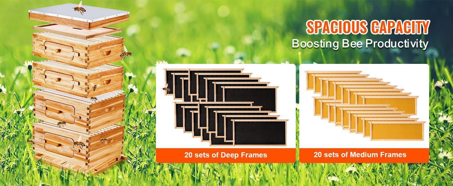 VEVOR Bee Hive 40 Frame Bee Hives Starter Kit, TikTokShopBlackFriday, Beeswax Coated Cedar Wood, 2 Deep + 2 Medium Bee Boxes Langstroth Beehive Kit, Transparent Acrylic Windows with Foundations for Beginners Pro Beekeepers