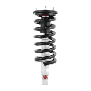 Rancho Strut And Coil Spring Assembly Rs999921 1 Pc