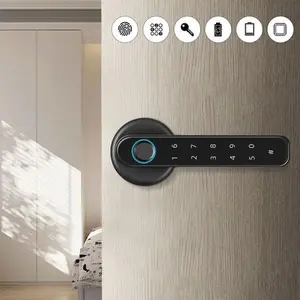 Smart Door Lock Fingerprint Biometric Door Lock Handle Set Smart Lock Front Door