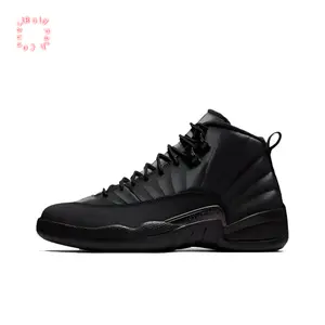 All-Black High-Top Winterized Basketball Shoes with Waterproof Upper, Plush Lining, and Carbon Fiber Plate Details