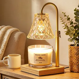 Ideal Valentine's Day & Mother's Day Gift - Scented Candle Warmer with Double Bulbs, Adjustable Glass Lamp for Bedroom & Living Room
