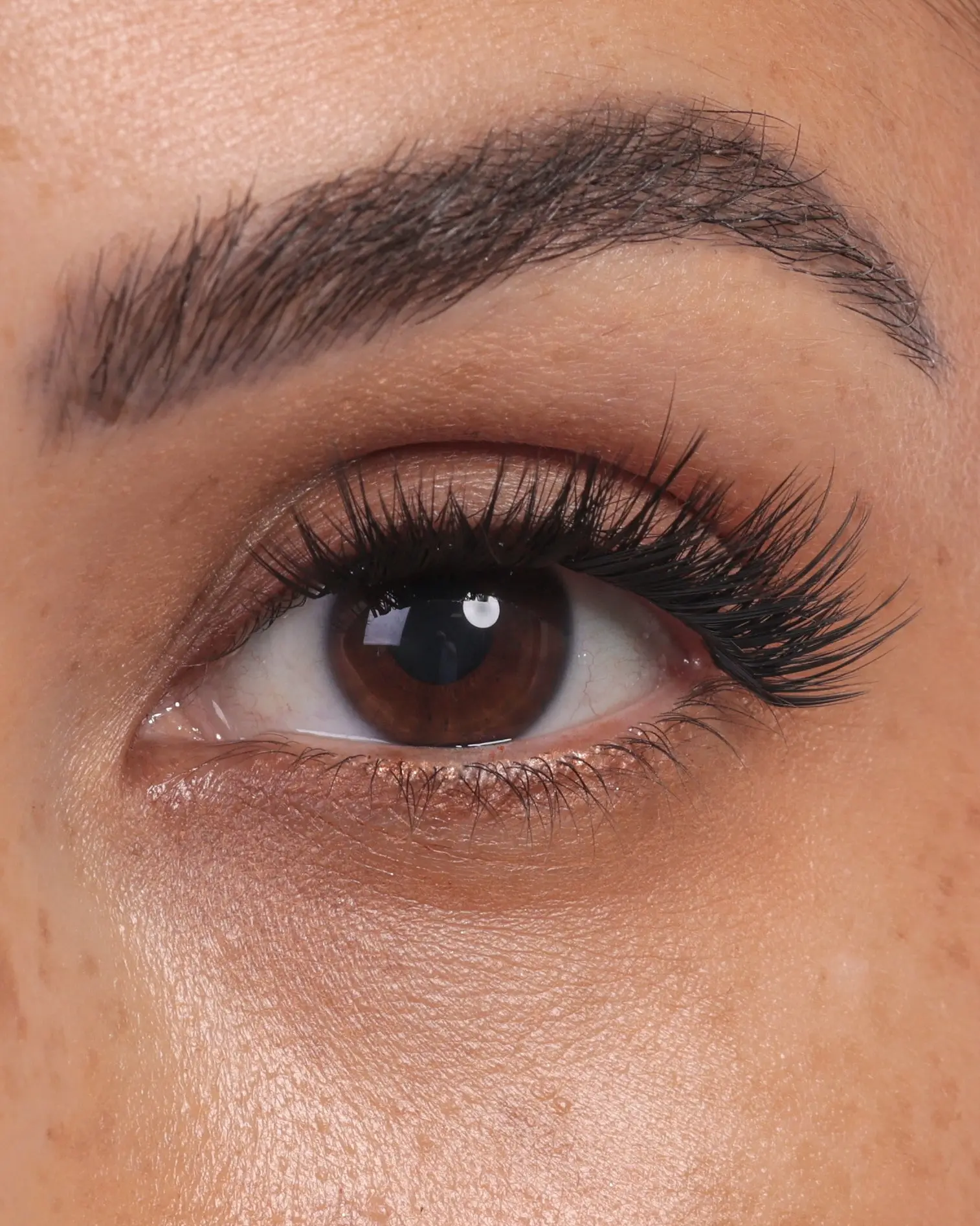 Jetzi RTW // Major Lift Lashes
