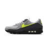 Air Max 90 "Neon" IQ0289 010