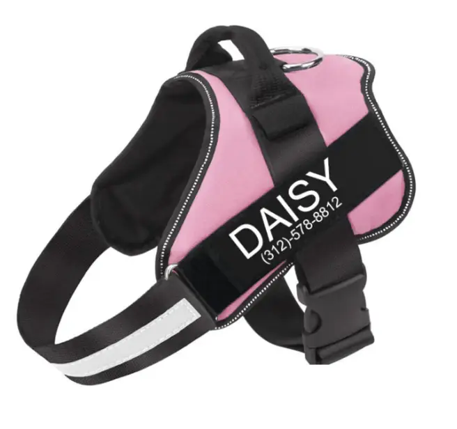 Personalized Reflective Dog Harness, Customizable removable patches for dogs/include dogs name and phone number, Red/Blue/Black/Pink/Purple/Lime Green