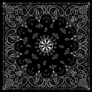 Black Paisley Biker Bandana