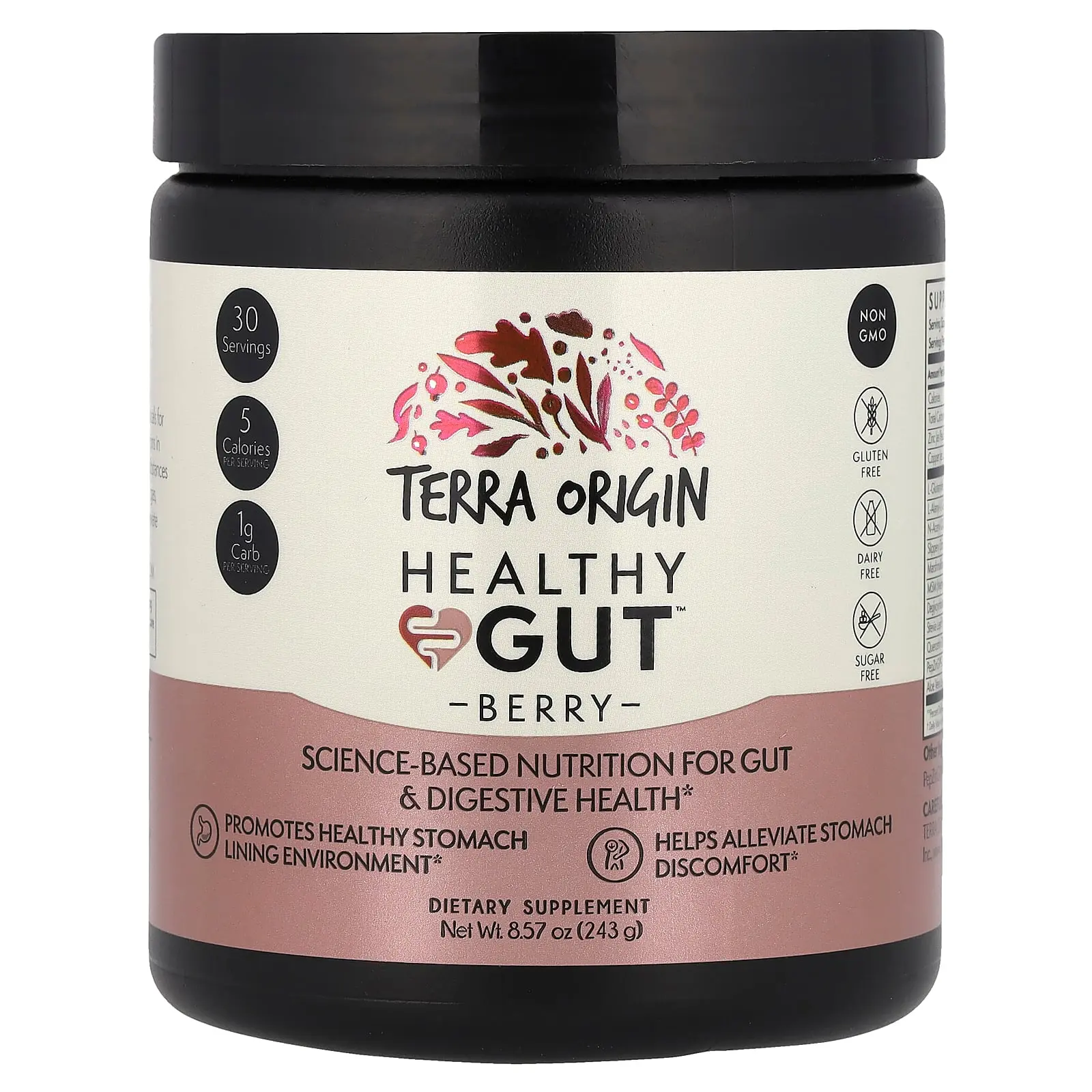 Terra Origin Healthy Gut™, Berry, 8.57 oz (243 g)