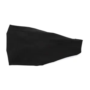 The Ninja Gaiden The Ninja Gaiden