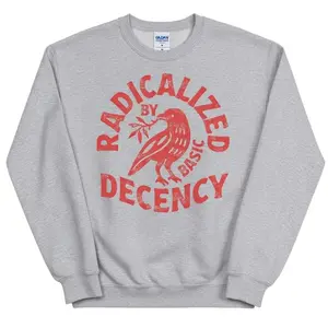Radicalized By Basic Decency Sweatshirt, Activist Tee, Social Justice Graphic Pullover, Humanitarian Empathy Shirt, Human Rights Apparel