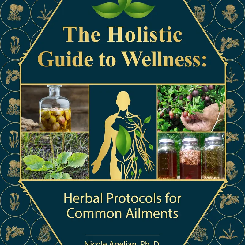 Front cover of The Holistic Guide to Wellness