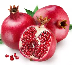 Live Red Pomegranate Tree Plant Punica Granatum Plant Sweet Pomegranates Tree 5-7 Inch Tall