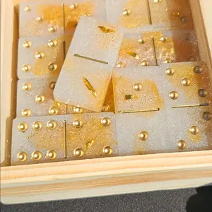 Ombre Acrylic Resin Dominoes set with case