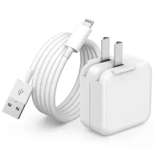 iPad Charger,  Charger Pad Cord Fast  12W USB Wall Charge Foldable Portable Travel Plug with 6.6FT Lightning iPad  Compatible with , iPad, iPad Mini 1/2/3/4/5,iPad Air 1/2/3