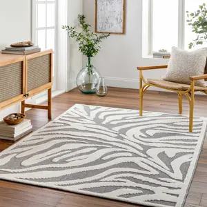 Keto Gray Zebra Rug - Clearance