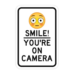 Vibrant Vinyl "Smile You're On Camera" Sticker - Multi-Size Office Label, Suitable for Car Windows