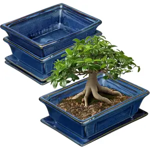 Bonsai Pots Small Shallow Succulent Planters for Live Bonsai Trees Set of 2, 7.5" Ceramic Pot for  Indoor with Drainage Hole and Saucer, Outdoor Cactus  Bonsai Pot