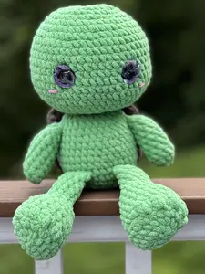 Mr. Franklin the Turtle