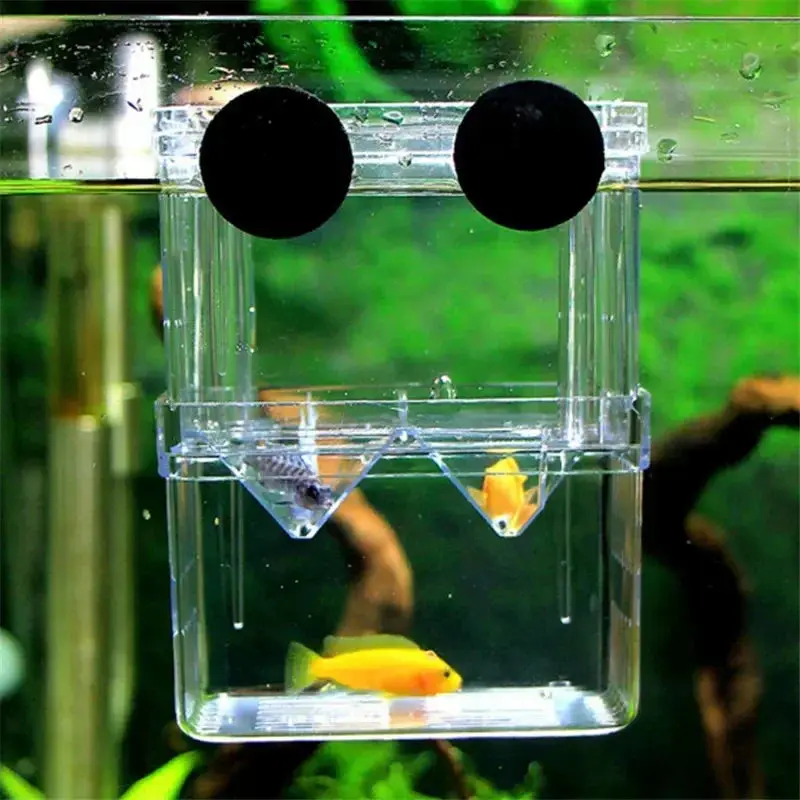 clear floating box for fish tank Aquarium Breeding Box, Acrylic Double Layer Fishes Isolation Box/Baby Fishs Hatchery/Fry Breeder Guppy,Tropical Fishes, Fish Incubator Divider with Suction Cups, L size : Pet Supplies Description Breeding Box Isolation Box Magnetic Aquarium Hatchery Incubator for Newborn Fry Shrimp Guppy Clownfish Aggressive Features Fish Breeding Box used for separating and protecting newly fish Eco-friendly Jeneca FH Clear Acrylic