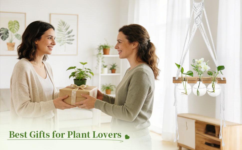 Glasseam Hanging Macrame Propagation Stations: Wall Window Glass Propagation Vases for Hydroponics Plants - Boho Decor Small Plant Terrarium Jars - Gifts for Women Mom Plants Lovers