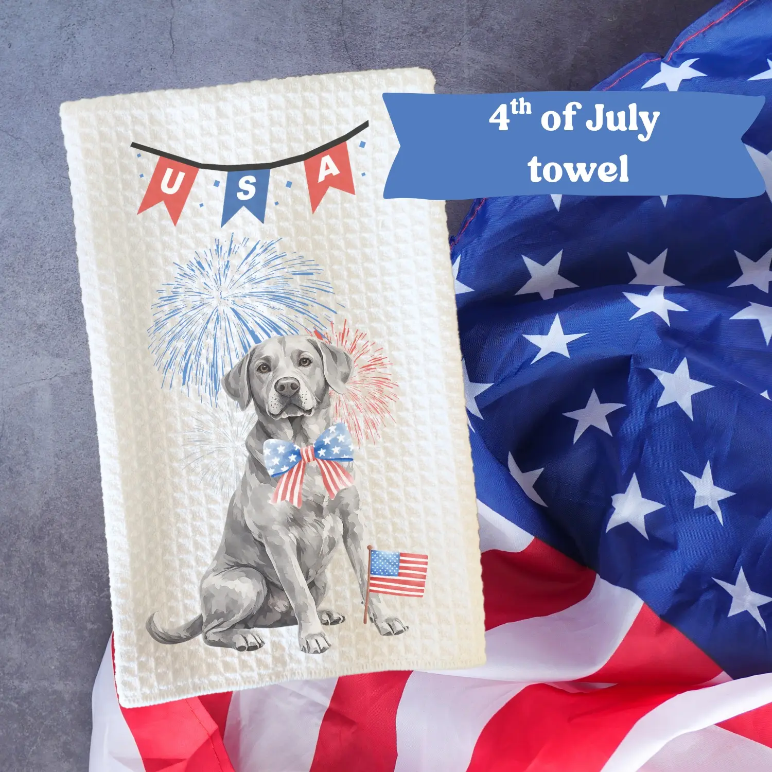 Labrador Retriever #4 (Silver)