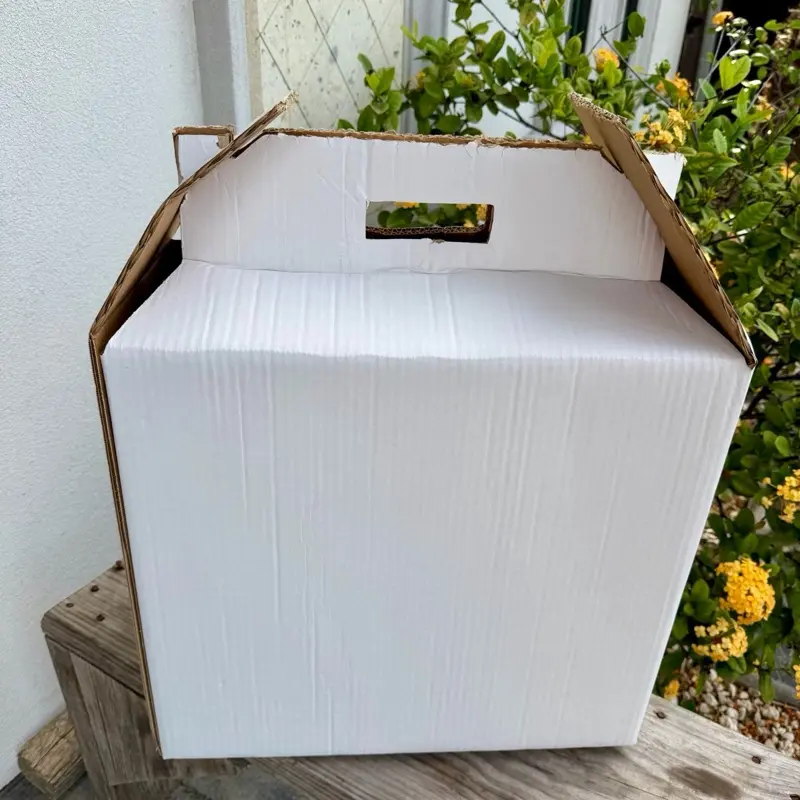 2 pk Caja - Gallos/Mascota- 2pk Rooster Carboard/ Pets 19×9.5×17