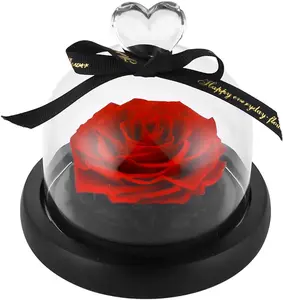 Preserved Forever Rose Birthday Gift for Women Mom Wife Grandma, Real Flower Eternal Life Never Withered Roses in Glass Dome Birthday Wedding Decor Decorative Ornaments