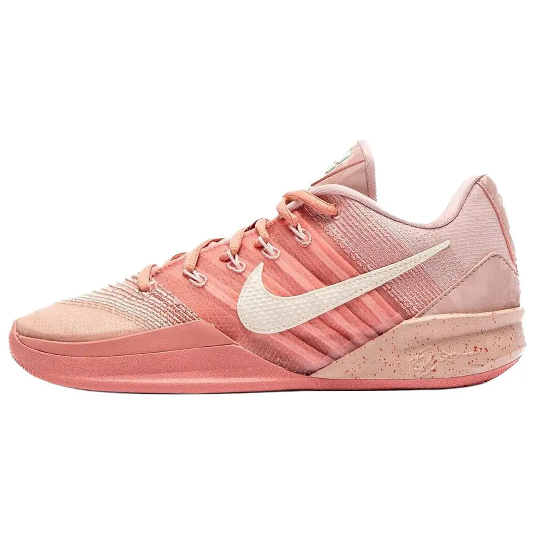 Women's Nike Sabrina 3 'Pink Oxford' Sneaker, Women's Sports Footwear, Performance Trainer Shoe