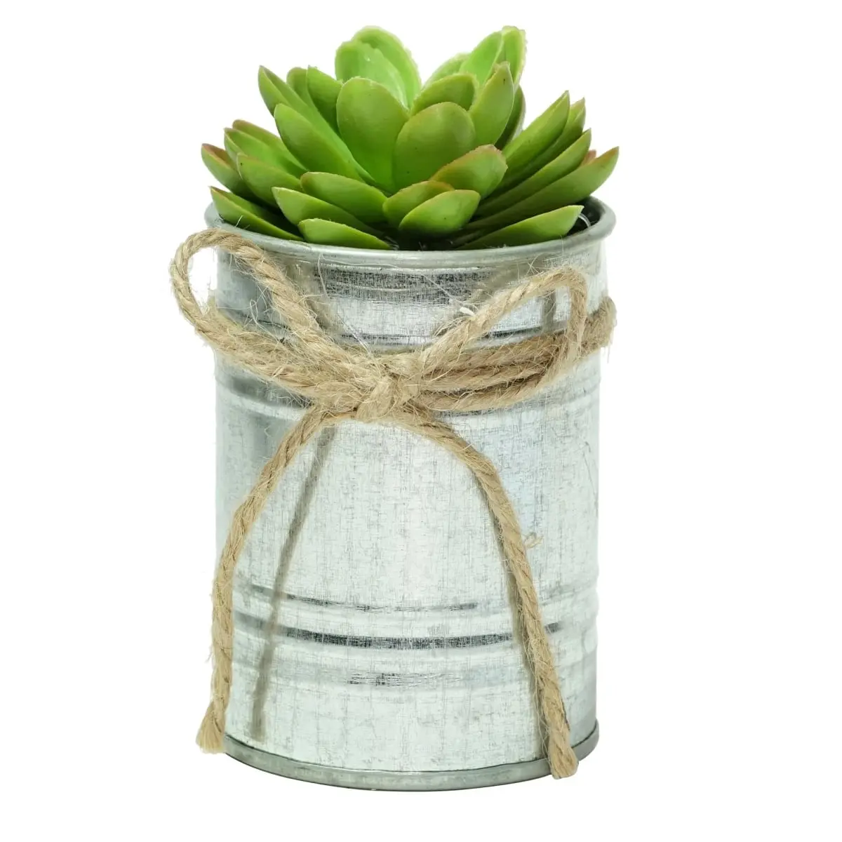 Northlight 32738525 7 in. Mini Artificial Sprouting Rose Succulent in Tin Can Planter with Twine Bow