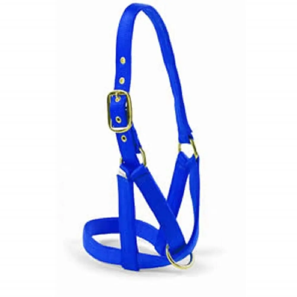Valhoma 1" Nylon COW UTILITY TURN OUT HALTER w/ Floating ring