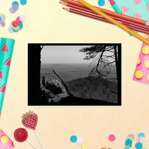 Forest Landscape Photograph on Standard Postcard Mail Black and white Nature Mailing cards