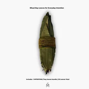 INTENTION // Bay Leaves - 30 XL Organic Whole Dried Bay Leaves for Smooth Low Smoke Rituals & Personal Intentions Pack Aroma Fragrance Set Hand-Selected Indian XL Leaves