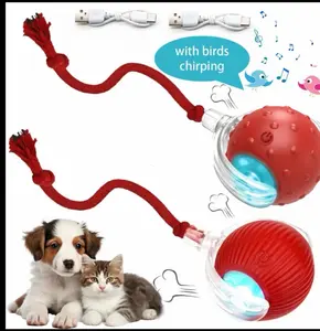 USB Rechargeable Automatic Chirping Pet Toy Ball, Self Rolling Interactive Cat Toy with Bird Sound,  Anti-Bite Quiet Exercise Enrichment Toy for Kittens & Small Puppies, Relieve Boredom & Separation Anxiety, Stimulate Hunting Instinct for Indoor Solo Play