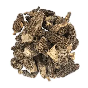 Slofoodgroup Dried Morel Mushrooms