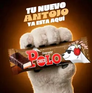 1 Bolsa de Granada Polo Chocolate 24und